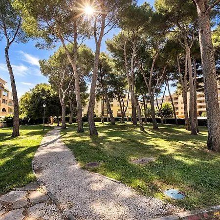 Balcon Sur La Piscine, A 200 M * Six-Fours-les-Plages